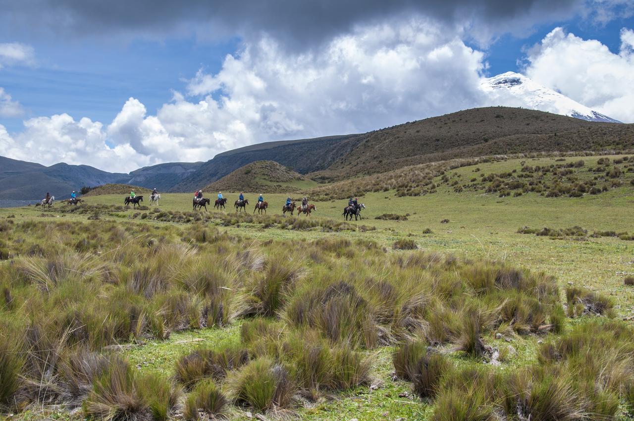 Hotel Tambopaxi Machachi Dış mekan fotoğraf